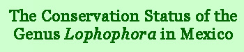 Conservation of Lophophora in Mexico