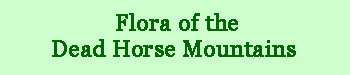 Flora of the Dead Horse Mountains