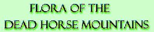 Flora of the Dead Horse Mountains