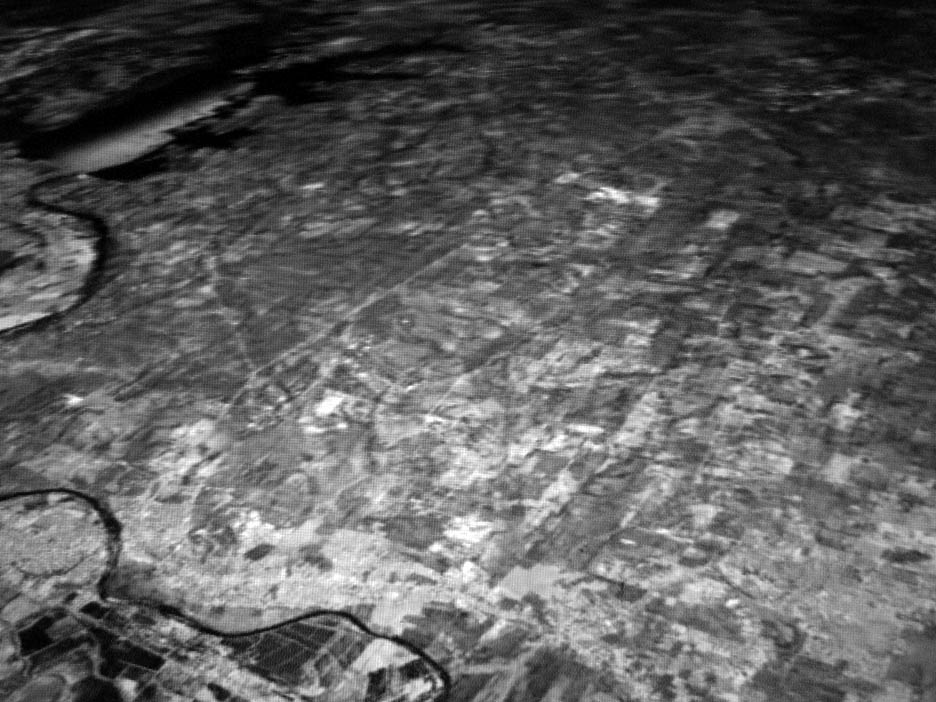 Lophophora's historic habitat