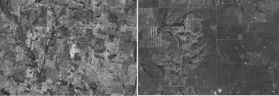 Lophophora's historic habitat