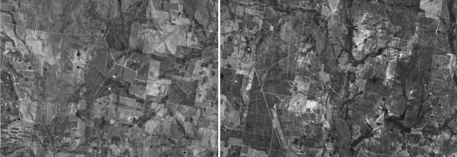 Lophophora's historic habitat