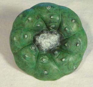 El Brujo in mystic green