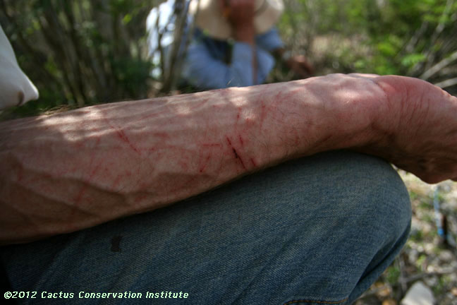 a pause from  working in the heat