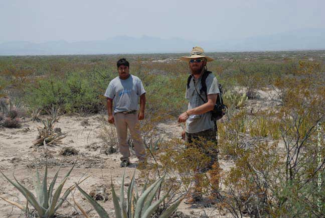 Habitat of Lophophora fricii